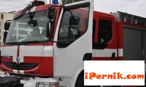 3 декара борова гора са изгорели в пернишкия кв. „Бела вода” 04_1461254446