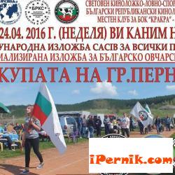 Утре ще има киноложка изложба на стадион „Металург”  04_1461421777
