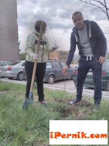 ГЕРБ засади фиданки в кв. Тева 04_1461423762