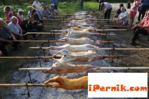 Май е месецът на демокрацията у нас  05_1462508223