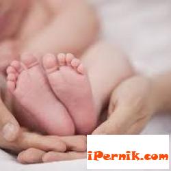 Общината приема документи за "ин витро" 05_1463543861
