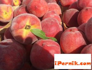 Общински шерифи ще глобяват крадци на земеделска продукция 06_1465358645