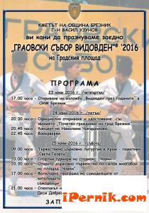 Брезник „патентова” Видовден 06_1466004549