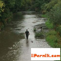 Пернишки полицаи са спасили безпомощно сляпо куче, което по някакъв начин е паднало в река Струма 09_1473483842