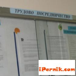 Днес се провежда Информационен ден за безработни младежи от област Перник 10_1477052784