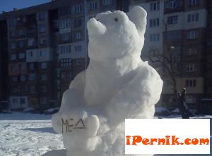 Мечка в Перник снимка: Градски вестник