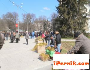 Цветница в Перник
