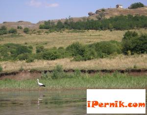 язовир „Пчелина” край село Ковачевци 