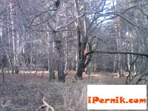 Новини за Перник от iPernik