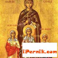 Новини за Перник от iPernik