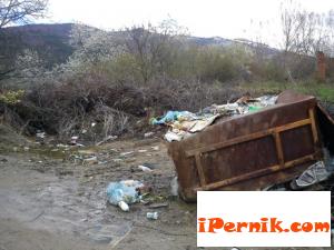 Контейнер с боклуци около него в частен парцел