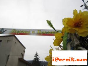 Сурова Брезник 2014