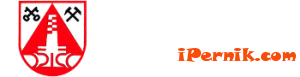 Хванаха крадци на коловете