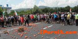 БЗНС подкрепя протеста на зеленчукопроизводителите