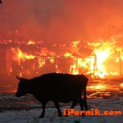 Пожар в селскостопански двор