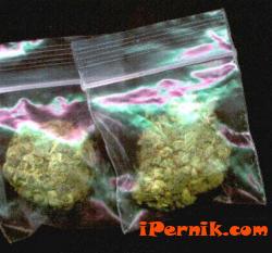 Задържан с 42 пликчета марихуана перничанин