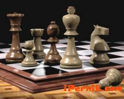 Перничани най-добри на шахмат