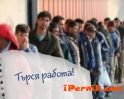 Последната трудова борса в Перник беше посетена от над 200 безработни 04_1396959006
