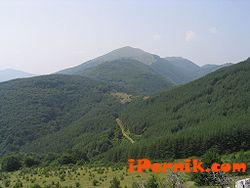 В масовото изкачване на връх „Руй” на 14 юни ще се включи и кметът на Трън  06_1401884559