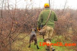 120 лисици, 3 вълка и 45 чакала са били застреляни от ловците от Радомирско 06_1402645741