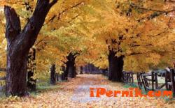 Есента ще бъде топла и слънева 10_1412683328