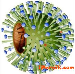 Очакваме първите болни от грип през ноември 10_1414132920