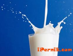 Изследване: Прясното мляко не е полезно за костите 10_1414750198