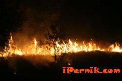 Междусъседски спор завърши с изгоряла ферма 11_1415953414