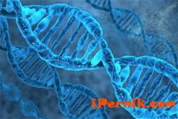 Вече има ДНК тест, който показва риска от болестта на Алцхаймер 12_1417525400