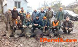 Ловци убиха седем прасета при един излет 12_1417525848