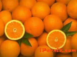 Портокали с гени от прасета заливат нашия пазар 01_1421656720