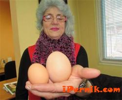 Кокошка от Шумен снесе рекордно голямо яйце 01_1422284459