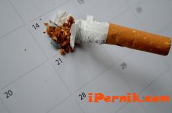 Пушачите имат по-малко Витамин С в организма 03_1427114616