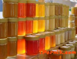 Изнасяме пчелен мед за Германия 03_1427371959