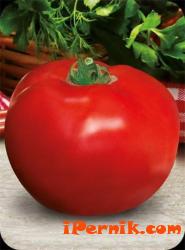 Ще пуснат българските домати по сергиите чак след 1 април 03_1427708894