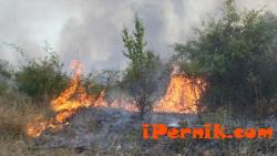 Потушиха пожарът на границата ни с Македония 04_1429369323