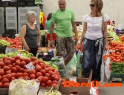 Първите български домати ще се продават на едро по 3 лв. за килограм 04_1429535084