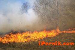 Кметът на Перник забрани паленето на стърнища 04_1430120140
