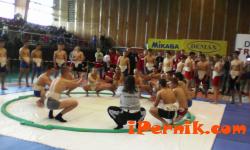 Девойките от спортното взеха медали по сумо, днес е ред на мъжете 04_1430370494