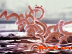Нарастват болните от венерически болести по морето 05_1431610129
