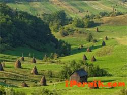 Земеделието на Румъния е по-производително от българското 05_1432198400