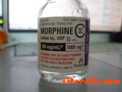 Морфин може да се произвежда и в домашни условия 05_1432211145