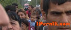 Атака пита какви са задълженията на ромите в Перник 06_1433481742