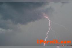 Силната буря е повалила десетки дървета в Пловдив 06_1433485295