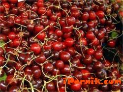Ще стимулират производителите на плодове, които са пострадали от руското ембарго 07_1436256557