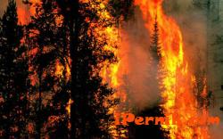 Пожарна опасност и противопожарни мерки през периода на жътвената   кампания 07_1437718232