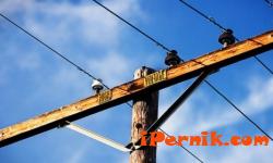 Поредната кражба на ток е установена в Перник 08_1438681470