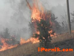 В област Перник има оранжев код за опасност от пожари 08_1439719163