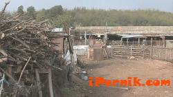 Бездомен овчар от петричко село е новият тотомилионер 10_1445417430