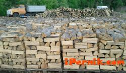 Цените тна дървата и въглищата за отопление в пернишко се покачват 10_1446303743